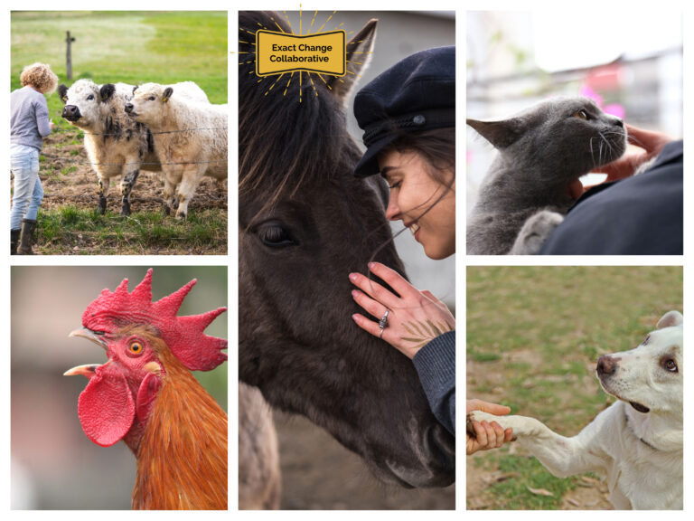 10/24/2026 – The Art and Heart of Animal Communication